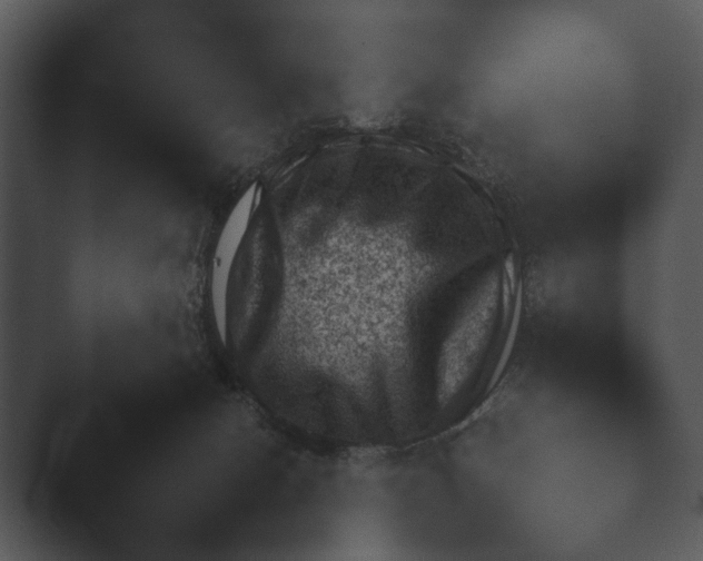X0000044230078200501101649.png