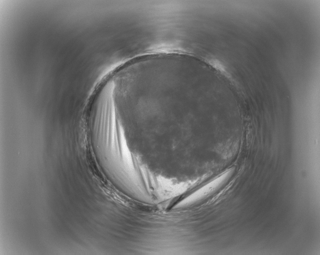 X0000054351358200508190117.png