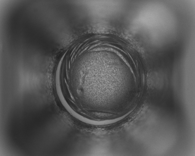 X0000045460449200502081423.png