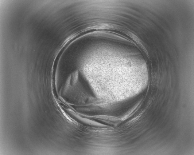 X0000054300845200508042308.png