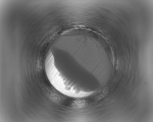 X0000054350606200508190130.png