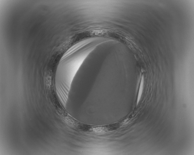X0000054350417200508190133.png