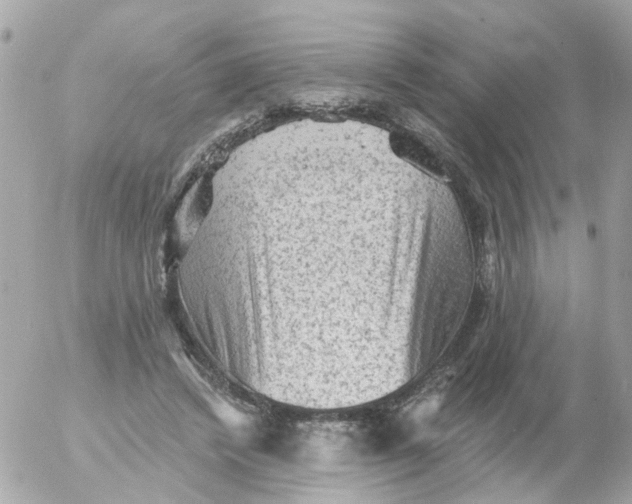 X0000055070448200508232333.png