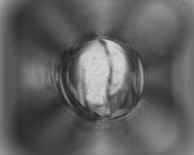 X0000040660094200411092022.png