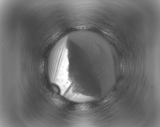 X0000054350652200508190129.png