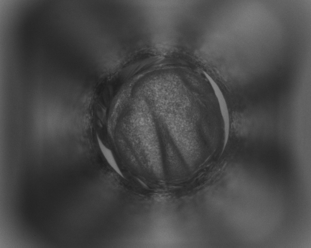 X0000044230619200501101639.png