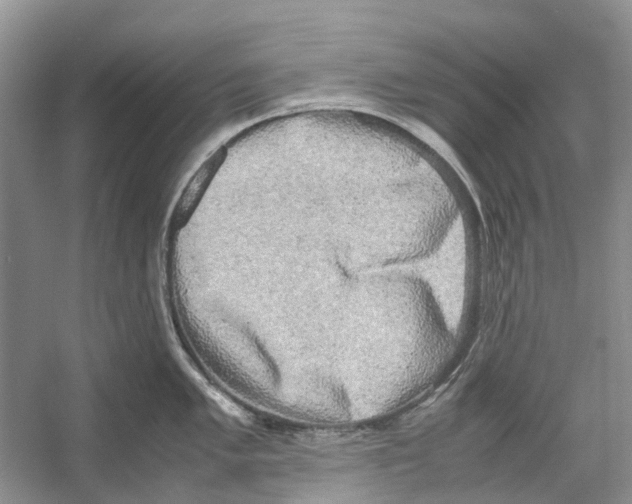 X0000054271005200508261911.png