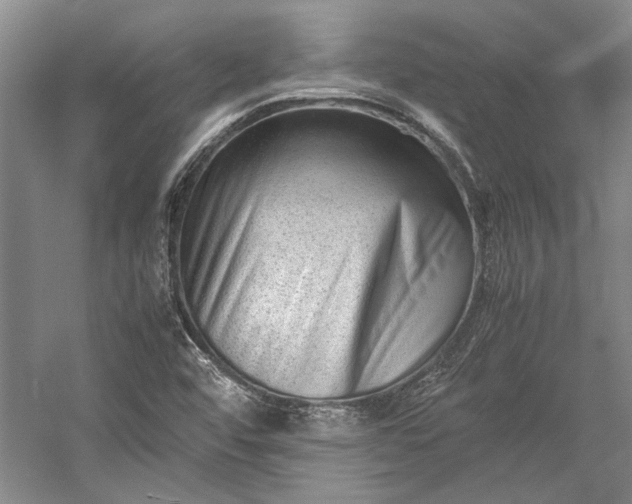 X0000055061456200508161633.png