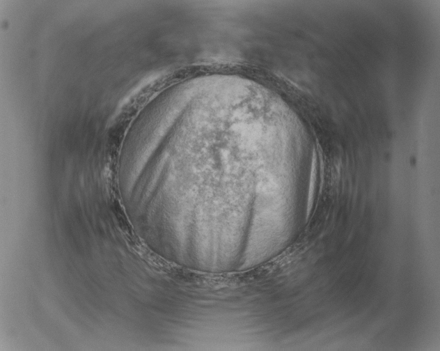 X0000054651254200508091632.png