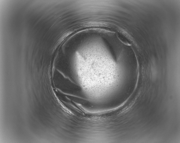 X0000054301033200508042305.png