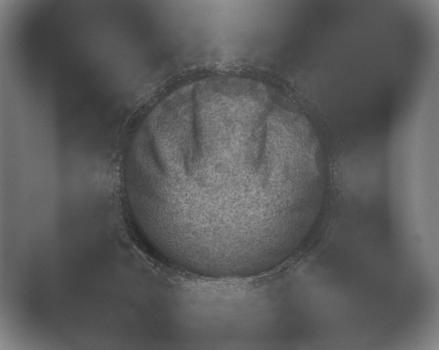 X0000051110032200507141808.png