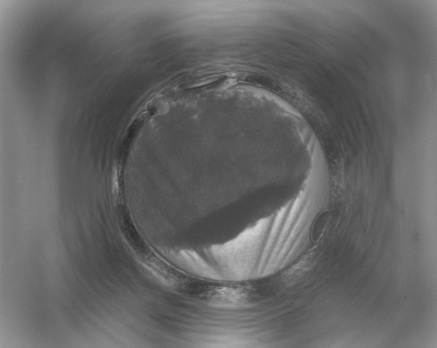 X0000054350166200508190137.png