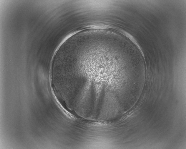 X0000054301195200508042302.png