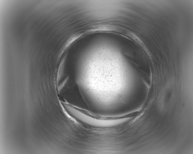 X0000054301433200508042258.png