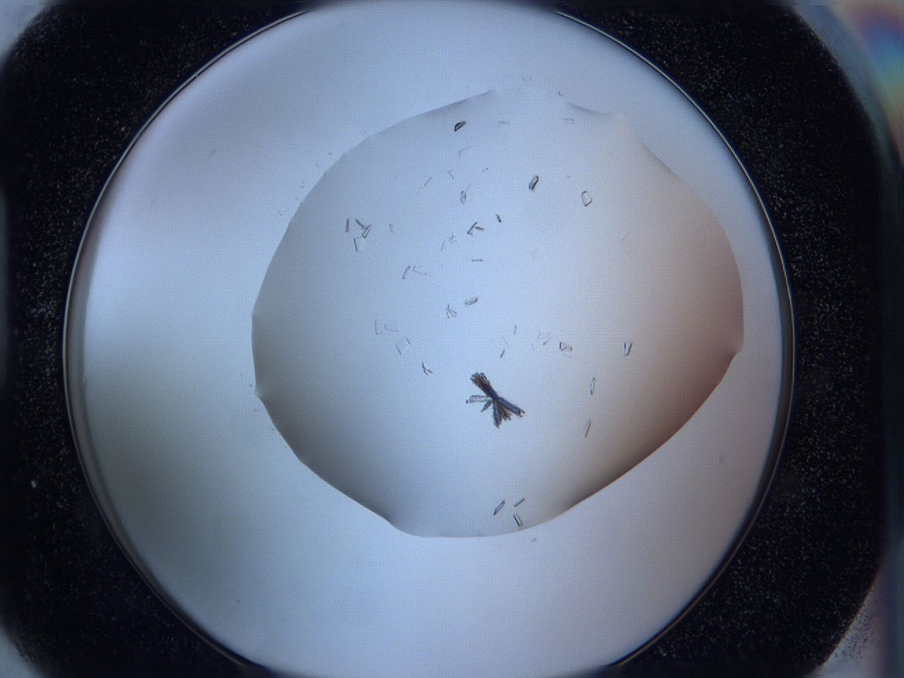 05hh_H6_ImagerDefaults_8.jpg