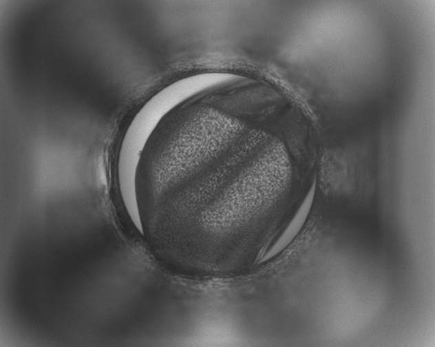 X0000045450062200502011707.png
