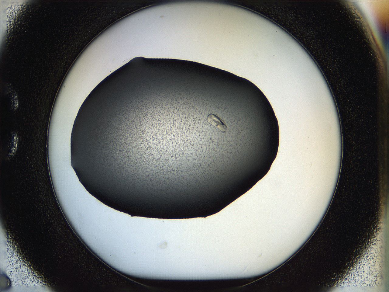 05hi_C6_ImagerDefaults_9.jpg