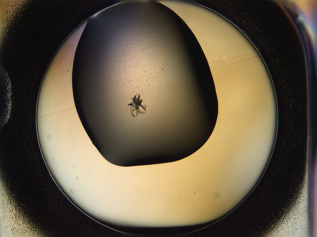 05hj_D1_ImagerDefaults_9.jpg