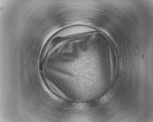 X0000055070991200508232324.png