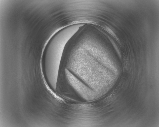 X0000054301084200508042304.png