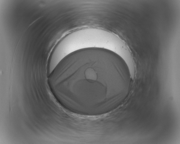 X0000054350002200508190140.png