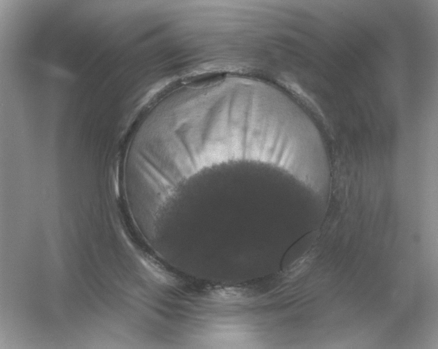 X0000054350062200508190139.png