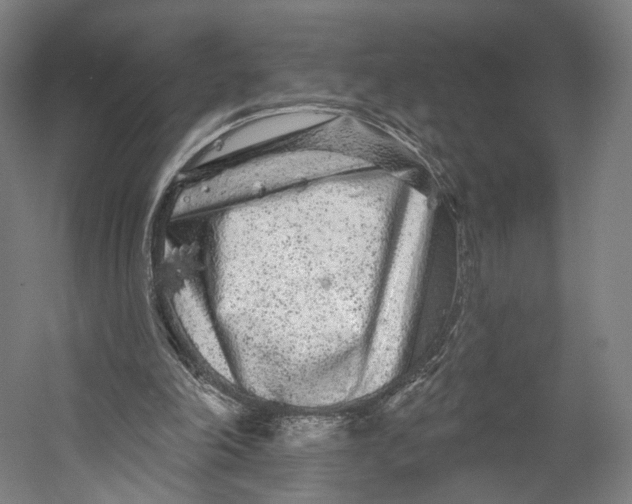 X0000055210198200508301330.png
