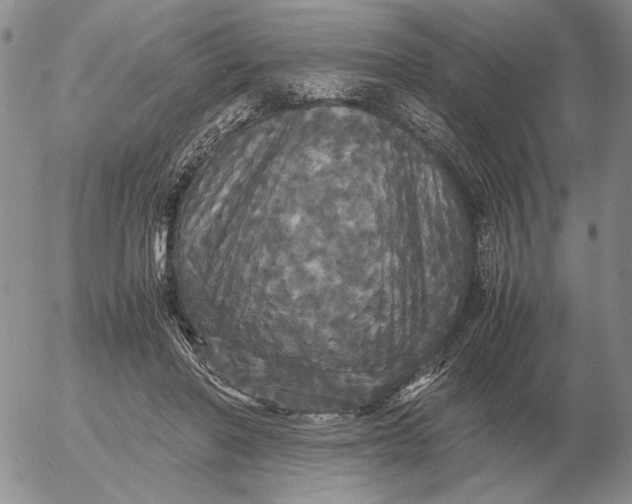 X0000054170406200508101805.png