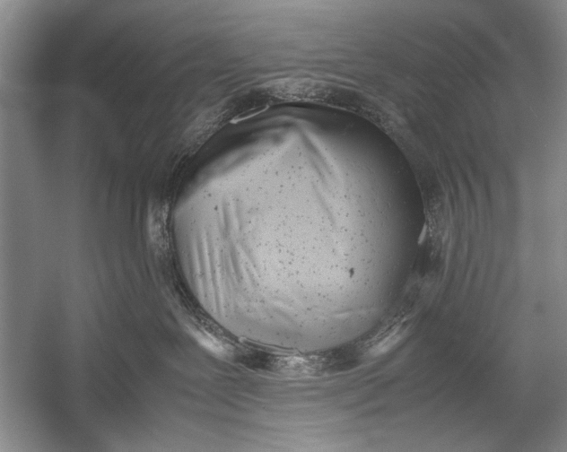 X0000055060239200508161654.png