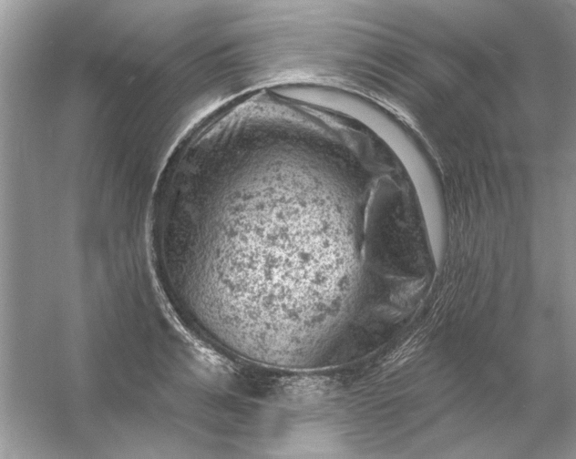 X0000054300991200508042305.png