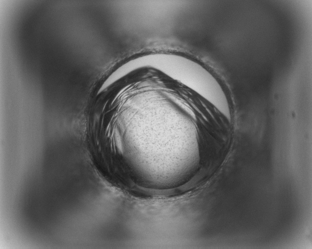 X0000041470009200411152130.png