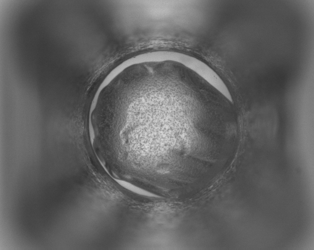 X0000051110297200507141804.png