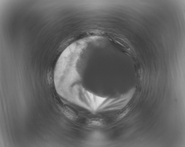 X0000054350285200508190136.png