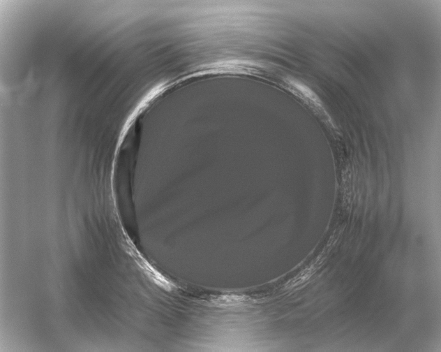 X0000054351180200508190120.png