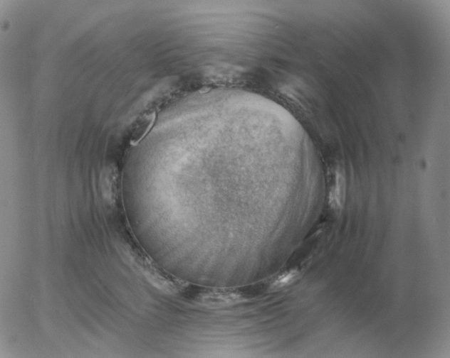 X0000054650712200508091642.png