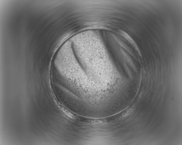 X0000054301002200508042305.png