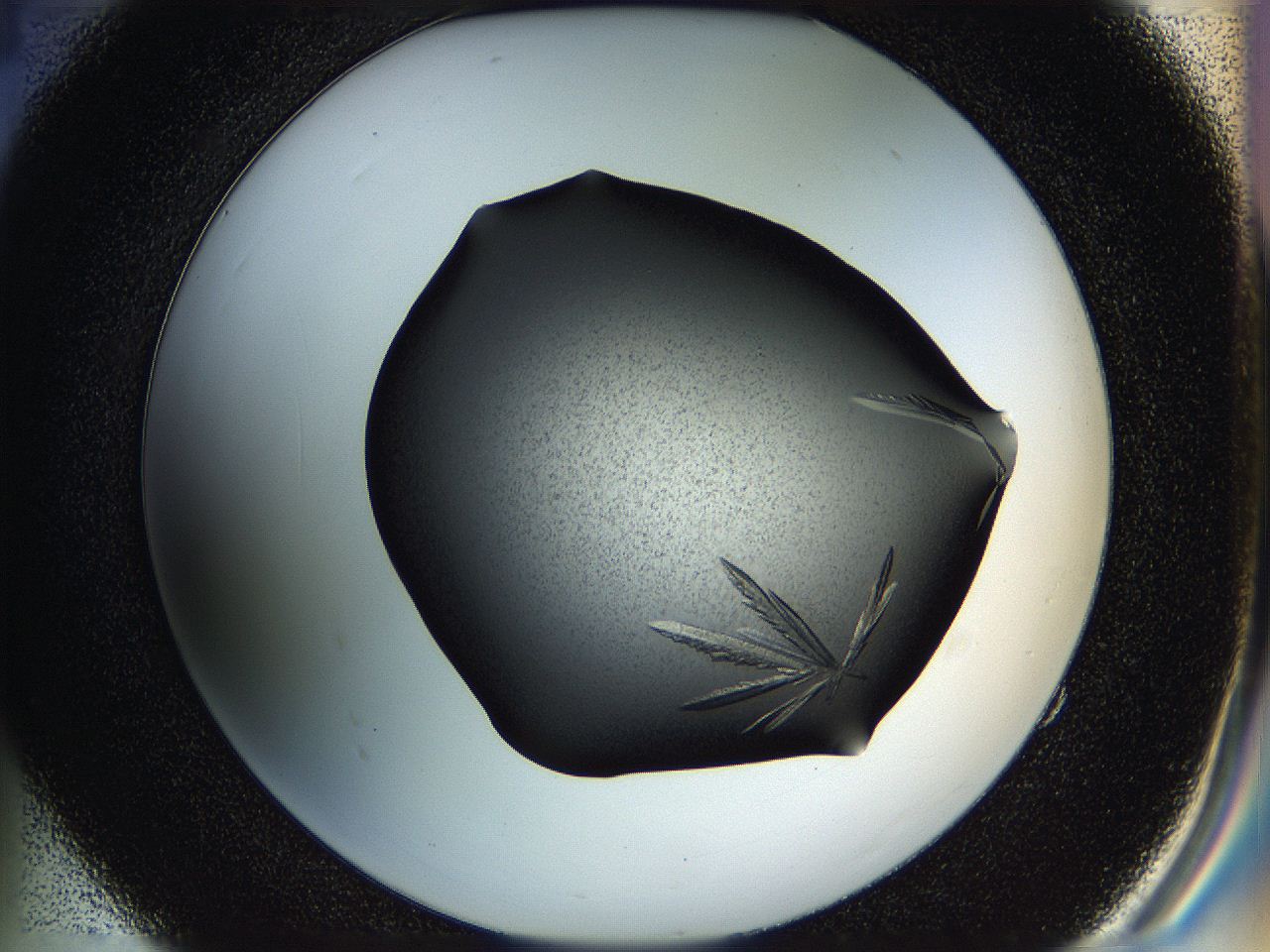 05hk_E4_ImagerDefaults_8.jpg
