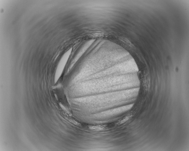 X0000055070516200508232332.png