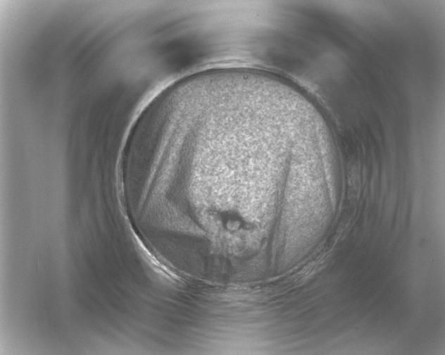 X0000054301466200508042257.png