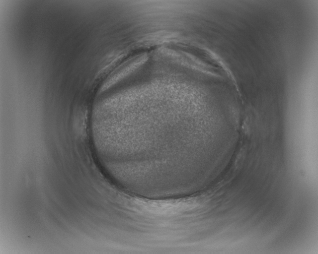 X0000054300018200508042322.png