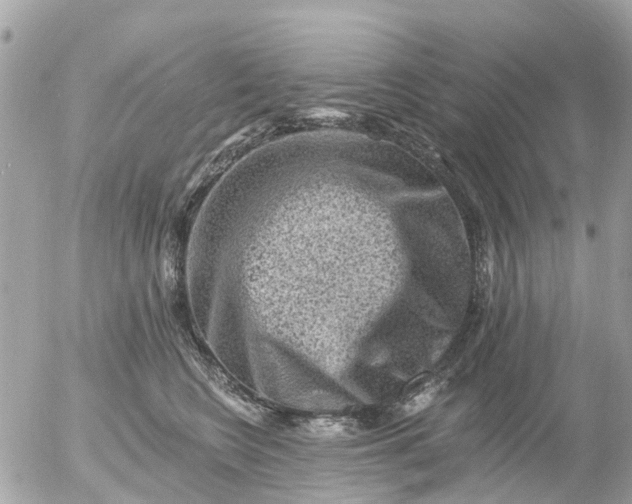 X0000055070566200508232332.png