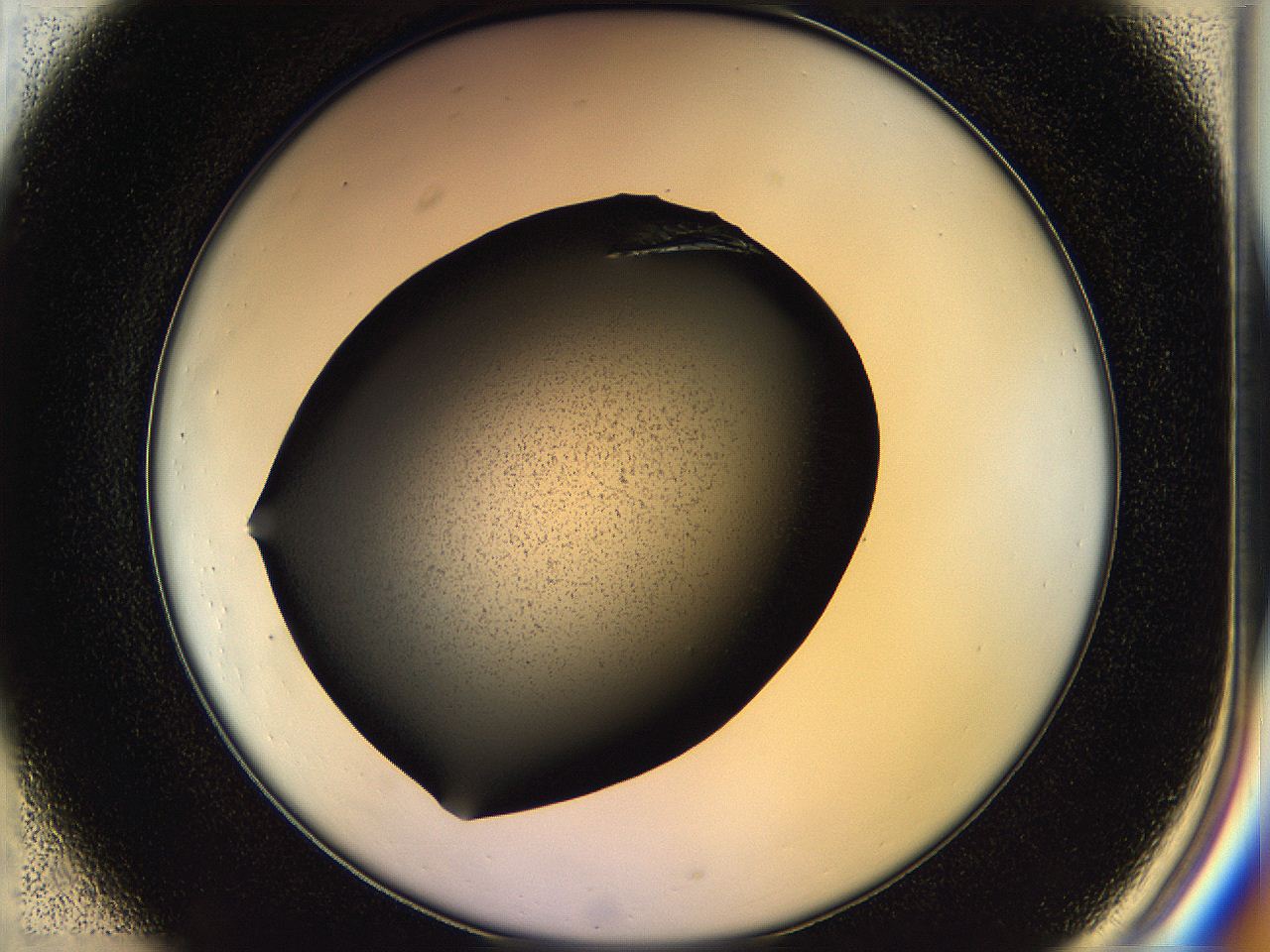 05hk_C1_ImagerDefaults_8.jpg