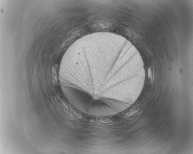 X0000054231203200508171501.png