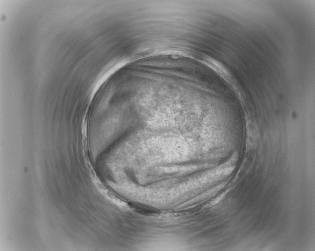 X0000055071198200508232321.png