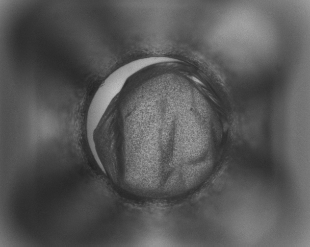 X0000045460065200502081430.png