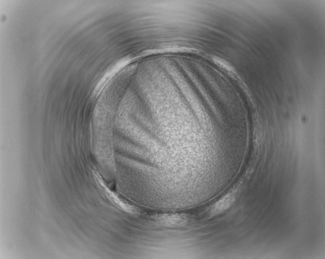 X0000055071177200508232321.png