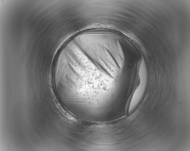X0000054300896200508042307.png