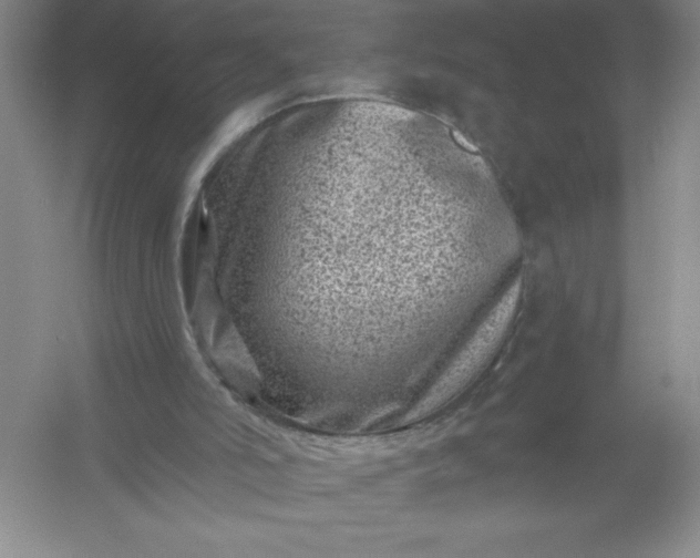 X0000054300006200508042322.png