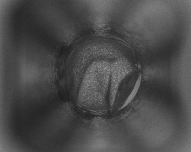 X0000044230515200501101641.png