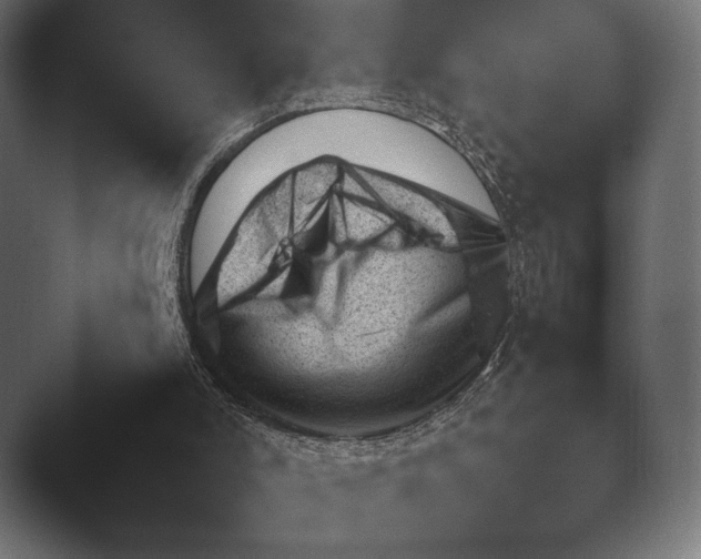 X0000045460006200502081431.png